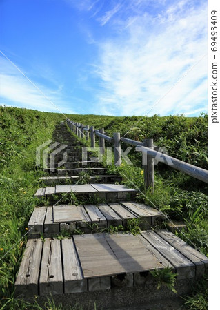 通往山的木棧道 69493409