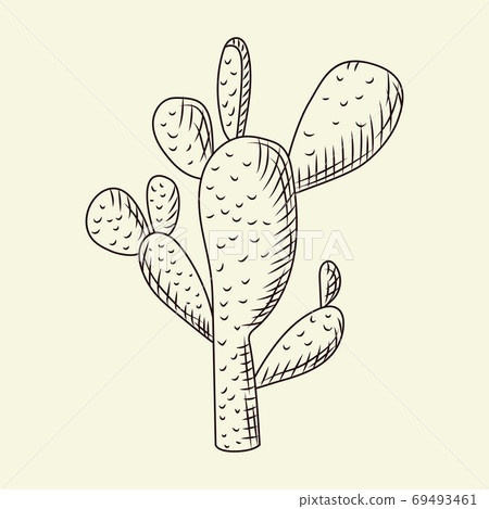 Prickly Pear Cactus Isolated On Light Stock Illustration