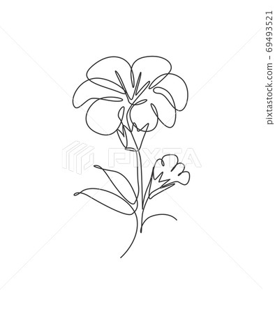 One single line drawing beauty hibiscus flower vector illustration One single line drawing beauty hibiscus flower vector illustration 69493521