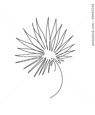Single continuous line drawing livistona rotundifolia leaf 69493548