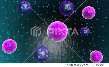 cells cells 69493858