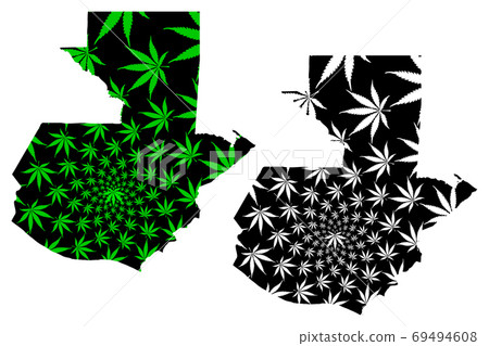 Guatemala - map is designed cannabis leaf Guatemala - map is designed cannabis leaf 69494608