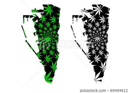 Gibraltar - map is designed cannabis leaf Gibraltar - map is designed cannabis leaf 69494612