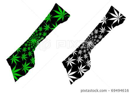 Gaza Strip - map is designed cannabis leaf Gaza Strip - map is designed cannabis leaf 69494616