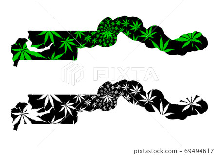 Gambia - map is designed cannabis leaf Gambia - map is designed cannabis leaf 69494617
