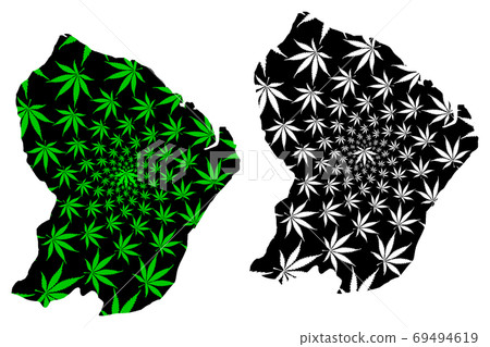 French Guiana - map is designed cannabis leaf French Guiana - map is designed cannabis leaf 69494619