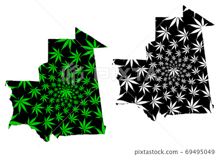 Mauritania - map is designed cannabis leaf 69495049