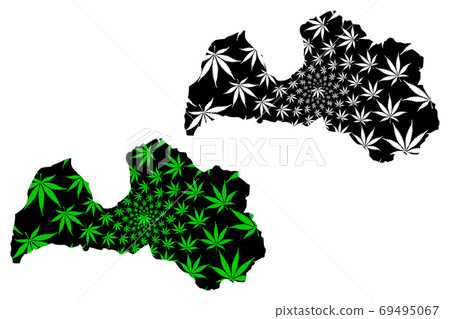 Latvia - map is designed cannabis leaf 69495067