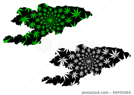 Kyrgyzstan - map is designed cannabis leaf Kyrgyzstan - map is designed cannabis leaf 69495068