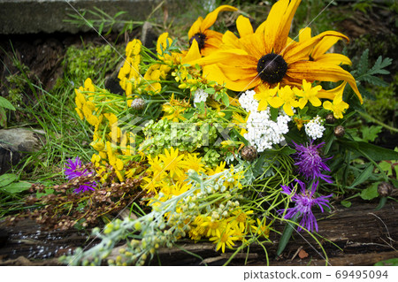 Colorful bouquet with medicinal plants. Various therapeutic herbs and flowers for use in alternative medicine and cosmetology. Colorful bouquet with medicinal plants. Various therapeutic herbs and flowers for use in alternative medicine and cosmetology. 69495094