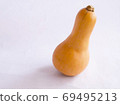 Butter nut pumpkin 69495213