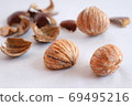 Chestnut  69495216
