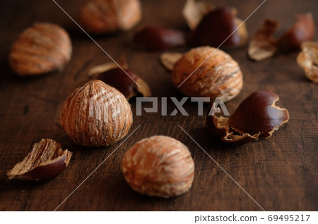 Chestnut  69495217