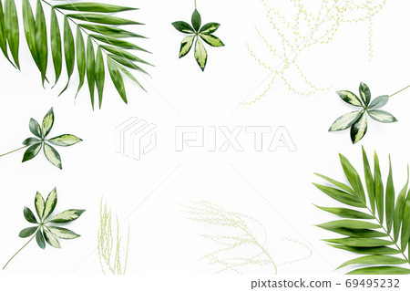 green palm leaf branches on white background. flat lay, top view green palm leaf branches on white background. flat lay, top view 69495232