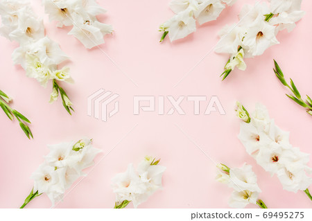 Beautiful white gladioluses on pink background. Pattern of gladioli with space for your text, holiday greeting card. Valentine's. Flat lay, top view. Beautiful white gladioluses on pink background. Pattern of gladioli with space for your text, holiday greeting card. Valentine's. Flat lay, top view. 69495275
