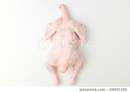 生雞肉 69495386