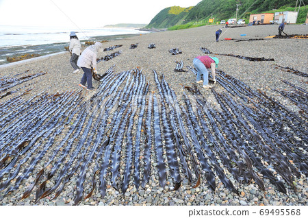 海帶釣魚早晨 海帶釣魚早晨 69495568