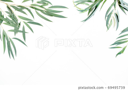 frame of green branches, eucalyptus leaves on a white background. flat layout, top view frame of green branches, eucalyptus leaves on a white background. flat layout, top view 69495739