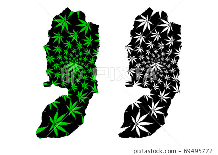 West Bank - map is designed cannabis leaf West Bank - map is designed cannabis leaf 69495772