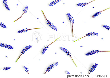 Texture of blue flowers muscari. Minimal floral concept greeting card. Flat lay, top view. Texture of blue flowers muscari. Minimal floral concept greeting card. Flat lay, top view. 69496811