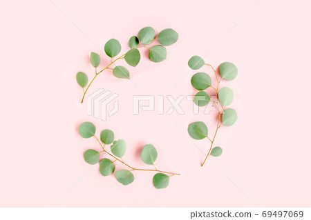Round wreath frame made of branches eucalyptus populus isolated on pink background. lay flat, top view 69497069