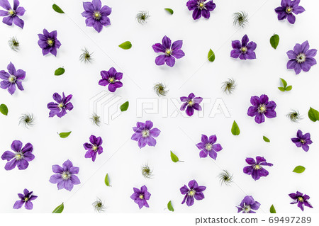 Texture made of purple flowers, green leaves and branches on a white background. The apartment lay, top view. Floral background. Drawing flowers. Texture made of purple flowers, green leaves and branches on a white background. The apartment lay, top view. Floral background. Drawing flowers. 69497289