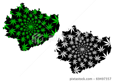 Swietokrzyskie Voivodeship (Administrative divisions, Voivodeships of Poland) map is designed cannabis leaf green and black, Holy Cross Province map made of marijuana (marihuana,THC) foliage.... Swietokrzyskie Voivodeship (Administrative divisions, Voivodeships of Poland) map is designed cannabis leaf green and black, Holy Cross Province map made of marijuana (marihuana,THC) foliage.... 69497357