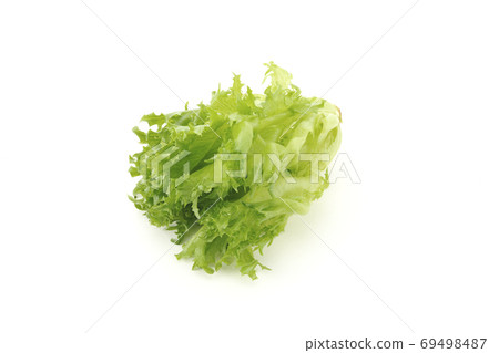 褶邊生菜 褶邊生菜 69498487