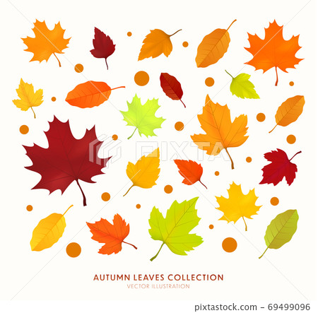 Autumn leave collection 69499096