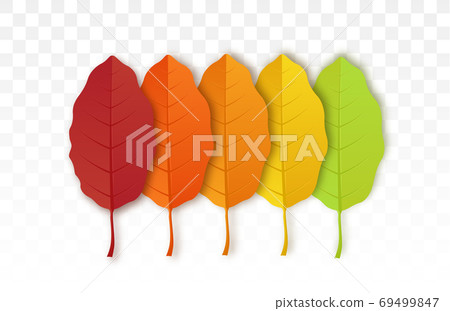 Autumn leave collection 69499847