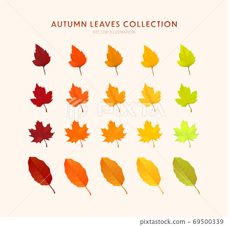 Autumn leave collection Autumn leave collection 69500339
