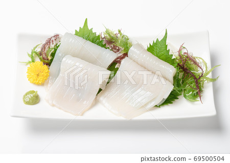 Sashimi of Japanese flying squid Sashimi of Japanese flying squid 69500504