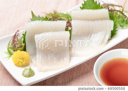 Sashimi of Japanese flying squid 69500508