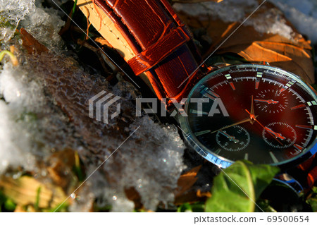 Luxury Wristwatch in Snow 69500654