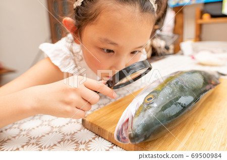Girl observing fish with magnifying glass 69500984