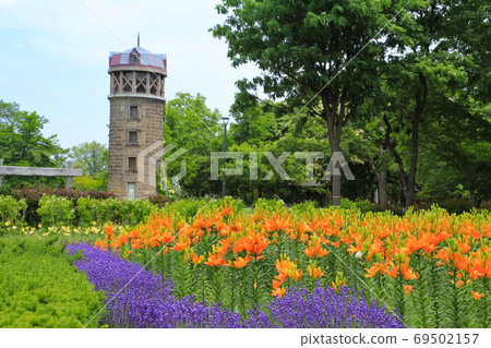 燦爛的百合百合原公園 69502157