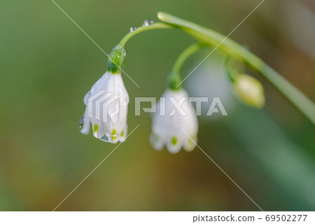 Spring street corner walk Spring street corner walk 69502277