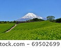 Fuji and fresh green tea fields 69502699