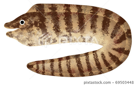 Cutlet Cutlet 69503448