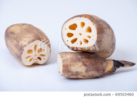 加賀蔬菜加賀倫康/美味的倫康包裝結和緊果 加賀蔬菜加賀倫康/美味的倫康包裝結和緊果 69503460