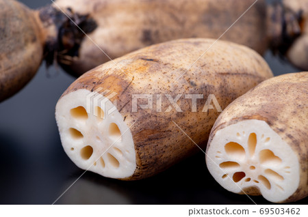 加賀蔬菜加賀倫康/美味的倫康包裝結和緊果 加賀蔬菜加賀倫康/美味的倫康包裝結和緊果 69503462