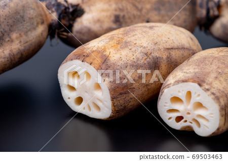 Kaga vegetables Kaga lotus root / Delicious lotus root with packed knots and tight fruits Kaga vegetables Kaga lotus root / Delicious lotus root with packed knots and tight fruits 69503463