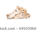 fresh shimeji (brown beech) mushroom on white background 69503960