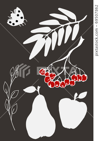 Autumn hand drawn images. White silhouttes on dark background. Isolated leaves of ash, rowan, lady bug, pear, apple Autumn hand drawn images. White silhouttes on dark background. Isolated leaves of ash, rowan, lady bug, pear, apple 69507862