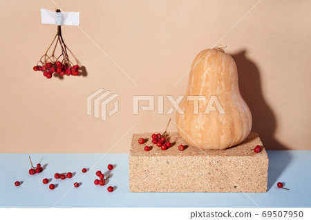 Brick podium, pumpkin and rowan berries. Modern autumn composition with hard shadows. Front view Brick podium, pumpkin and rowan berries. Modern autumn composition with hard shadows. Front view 69507950