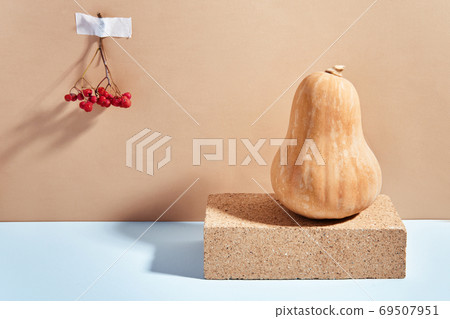Modern autumn composition with hard shadows. Brick podium, pumpkin and rowan berries. Front view Modern autumn composition with hard shadows. Brick podium, pumpkin and rowan berries. Front view 69507951