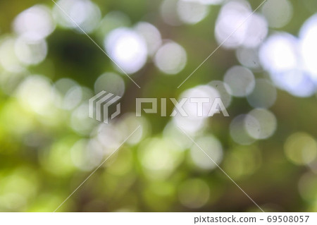 Green leaf natural bokeh used for background Green leaf natural bokeh used for background 69508057