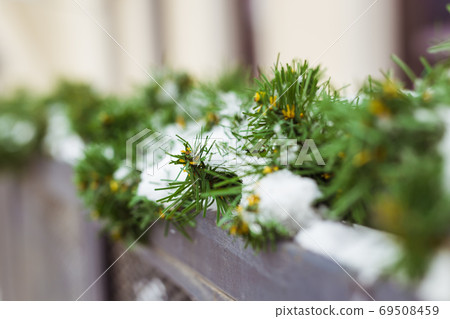 Christmas decor railing branches of a blue Christmas tree. Decoration outside the house to create a festive atmosphere Christmas decor railing branches of a blue Christmas tree. Decoration outside the house to create a festive atmosphere 69508459