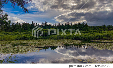nature, a reflection, reflect 69508579
