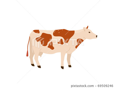 Spotted red and white cow stand vector illustration. Isolated on white background. Dairy industry in simple cartoon flat style Spotted red and white cow stand vector illustration. Isolated on white background. Dairy industry in simple cartoon flat style 69509246